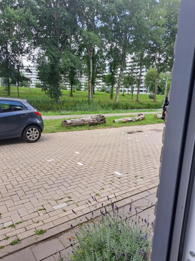 Apartament Dubbelink 3A Amsterdam Zewnętrze zdjęcie