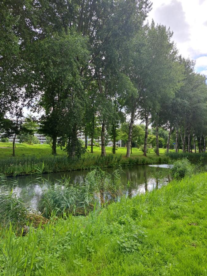 Apartament Dubbelink 3A Amsterdam Zewnętrze zdjęcie